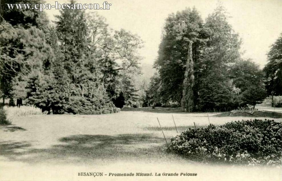 BESANÇON - Promenade Micaud - La Grande Pelouse